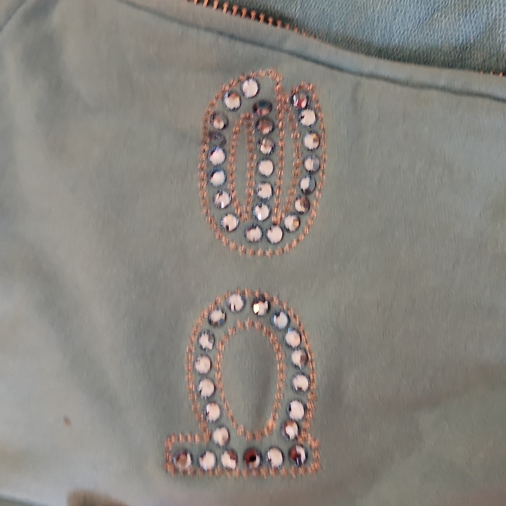 Bebe Jacket - image 3